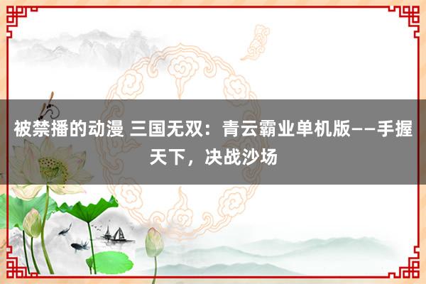 被禁播的动漫 三国无双：青云霸业单机版——手握天下，决战沙场