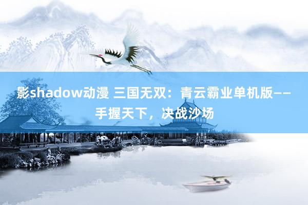 影shadow动漫 三国无双：青云霸业单机版——手握天下，决战沙场