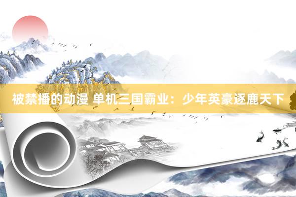 被禁播的动漫 单机三国霸业：少年英豪逐鹿天下