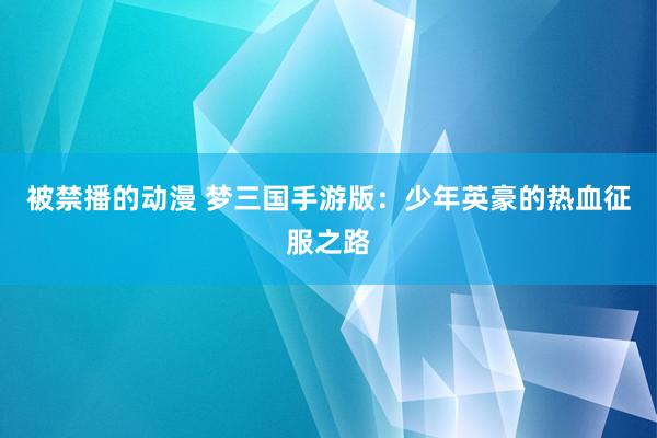 被禁播的动漫 梦三国手游版：少年英豪的热血征服之路