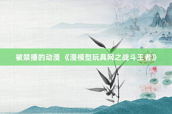 被禁播的动漫 《漫模型玩具网之战斗王者》